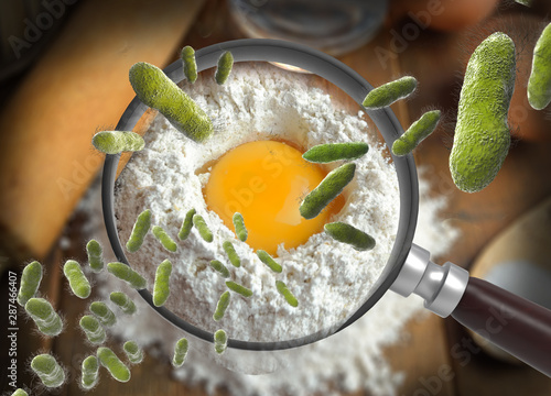 The concept of bacteria in the egg, and is magnified by a magnifying glass, salmonellosis infection