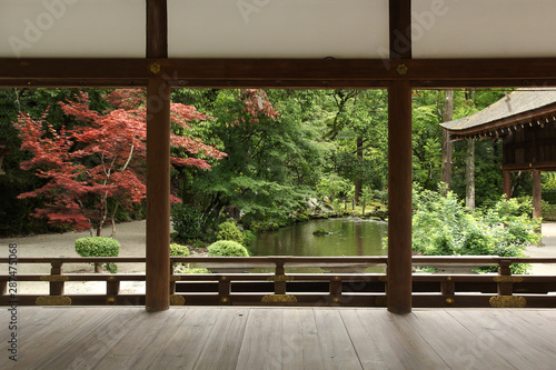 Beautiful japanese garden in Kyoto (Kamigamo shrine)