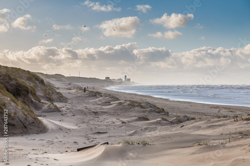 Beautiful wintry dune scenery along Dutch North Sea coast with by wind power carved deep holes with steep walls and in wind bending European Beachgrass and background sky with blue spots and clouds
