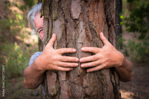 A pair of human hands hugging a tree in the woods - love for the outdoors and nature - earth day concept. An old man hiding from the trunk. People save the planet from deforestation