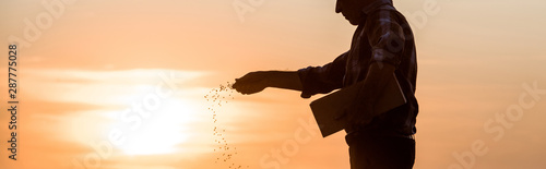 panoramic shot of farmer sowing seeds during sunset