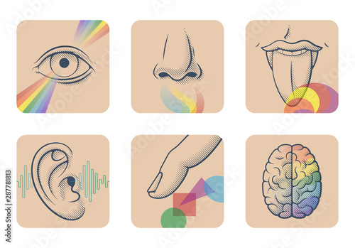 Set of five human senses: sight, smell, taste, hearing and touch. Six anatomical images: nose, tongue, eye, ear, finger and brain