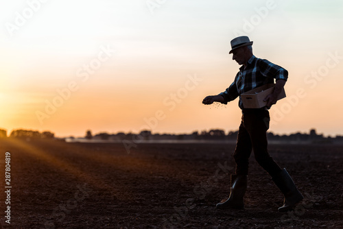 profile of farmer in straw hat walking and sowing seeds