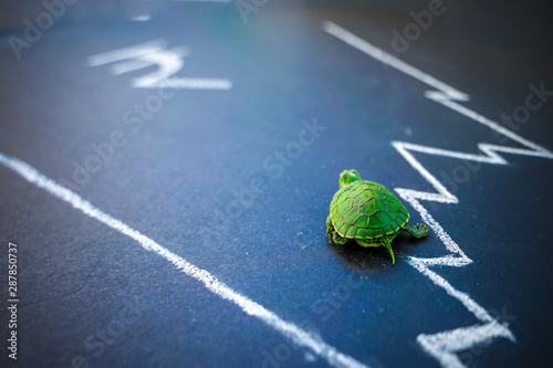 Slow but stable investment or low fluctuate stock market concept, miniature figure turtle walking on chalkboard with drawing price line graph of stock market value. Indian rupee exchange rate