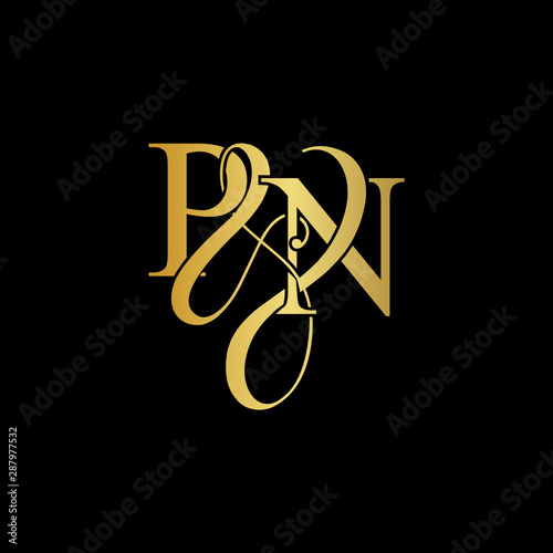 Initial letter P & N PN luxury art vector mark logo, gold color on black background.