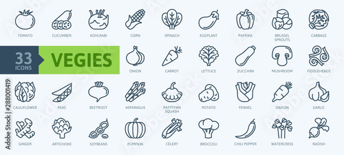Vegetarian, vegetable, veggies - minimal thin line web icon set. Included the simple vector icons as tomato, cucumber, kohlrabi, cauliflower, pattypan squash, fiddleheads,daikon. Outline icons collect