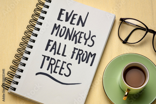 Even monkays fall from trees - Japanese proverb