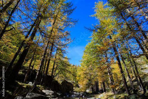 torrente in valle dell'Orco, nel parco nazionale del Gran Paradiso