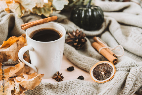 1 mug of hot black coffee with cinnamon on the background of a gray sweater, yellow dry fallen leaves