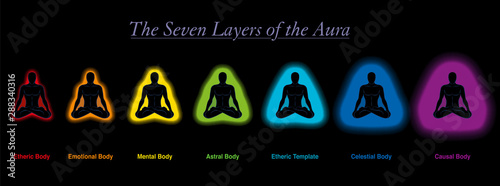Aura layers of a meditating sitting man. Etheric, emotional, mental, astral, celestial and causal body an template. Seven different rainbow colored auras. Vector on black background.