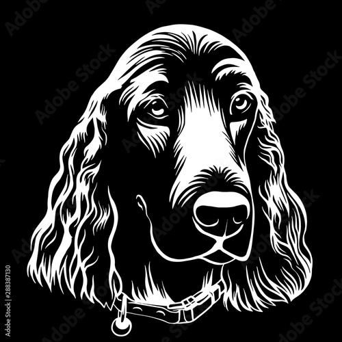 Spaniel dog hand drawn outline stock vector illustration coloring book page on white background