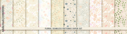Floral seamless pattern set. Flowers and leaves.. Color vector background. Summer and spring print