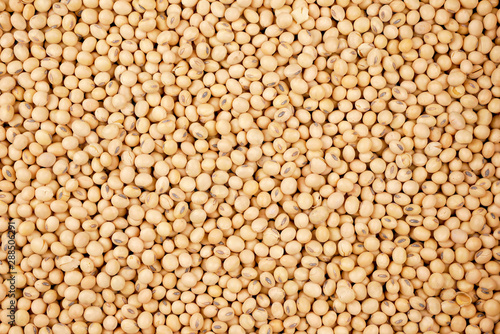 soybean beans background, seeds food raw material,delicious dishes seed bean agricultural product