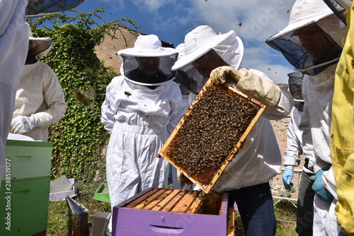 Cours d'apiculture