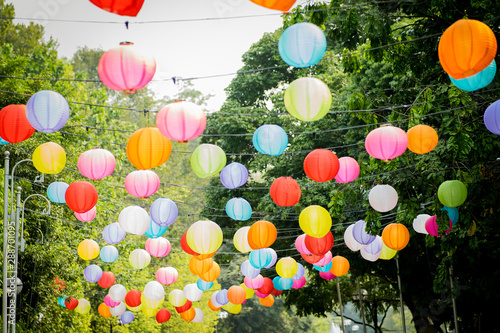 Colourful Paper Lantern hanging with trees and sky in the background.