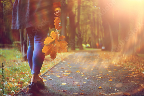leaf fall autumn / fallen yellow leaves in the hands of a single girl walking in the park, concept autumn melancholy mood
