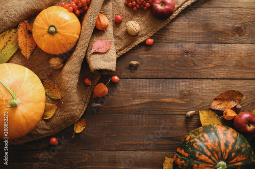 autumn still life with pumpkins and leaves. Autumn Harvest concept. Flat lay composition, top view, copy space