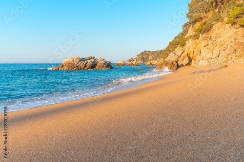 Sand beach. Clean seashore.