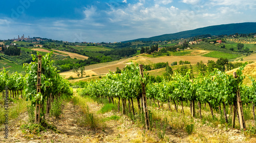 Summer landscape in the Chianti region at summer