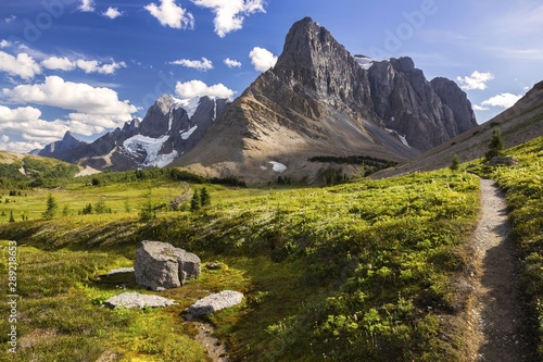 Green Alpine Meadows and Rockwall Mountain Cliffs on a Great Summertime Hiking Trail in Kootenay National Park, Canadian Rockies