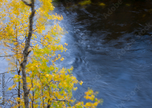 Río Kitka, Parque Nacional de Oulanka. Finlandia.