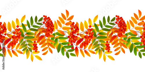 Bright colourful rowan berries and leaves autumn fall vector seamless border