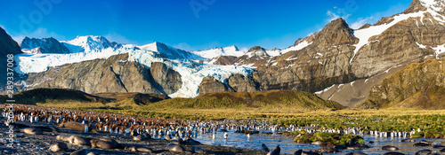 Glaciers in Gold Harbor South Georgia Island