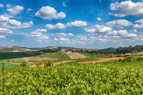 Colline del Monferrato