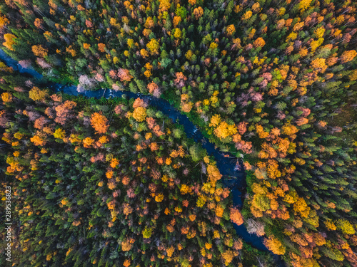 Beautiful autumn forest with yellow and red trees, blue mountain river, aerial top view