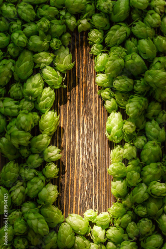 Green cones of hops on a rustic aged wooden table with copy space. Brewery concept background. Hop cones formed as a shape of beer bottle.