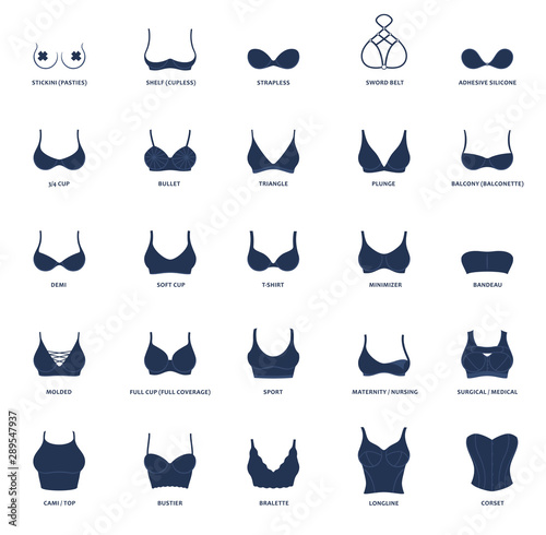 Types of bras. The complete vector collection of lingerie