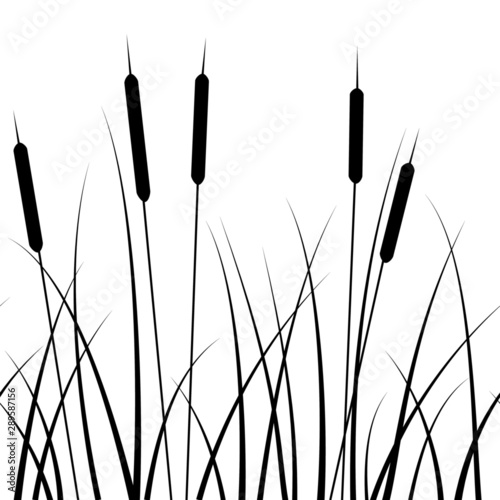 seamless pattern, with a pattern of grass silhouettes and reed