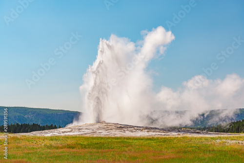 The Old Faithful geyser having an eruption on a bright summer day, Yellowstone National Park, Wyoming, USA.