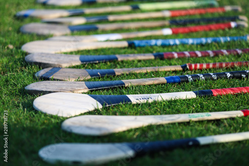 A bunch of camogie hurleys lined up on the grass