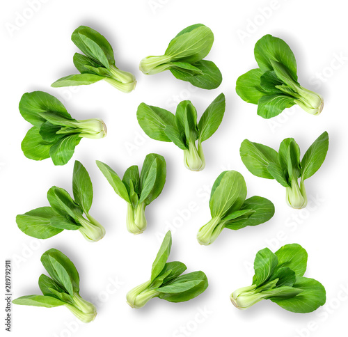 Bok choy vegetable isolated on the white background. top view