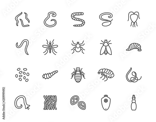 Parasites flat line icons set. Intestinal worm, helminth, sandfly, tick, dog flea, leech, qiardia, dengue mosquito illustrations. Outline signs for parasitology. Pixel perfect 64x64. Editable Strokes