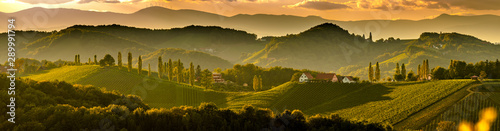 South styria vineyards landscape, near Gamlitz, Austria, Eckberg, Europe. Grape hills view from wine road in spring. Tourist destination, panorama