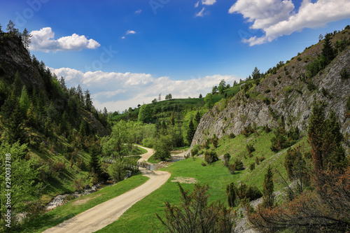 Pioeniny-rezerwat Biała Woda