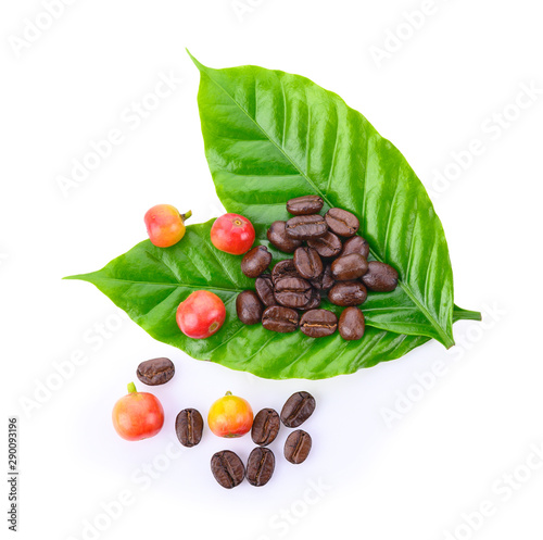 Fresh roasted coffee beans with leaves isolated on white background