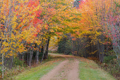 Confederation Trail running through the fall foliage of rural Prince Edward Island, Canada.