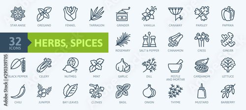 Spices, condiments and herbs - minimal thin line web icon set. Outline icons collection. Simple vector illustration.