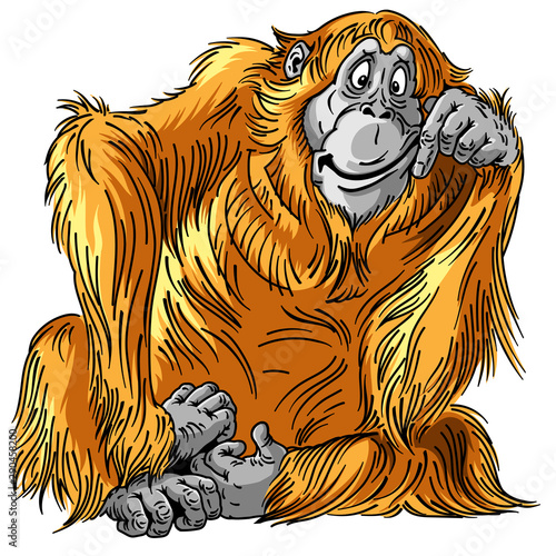 cartoon orangutan great ape. Sitting orange big monkey. Adult male. Isolated vector illustration 