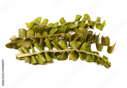japanese seaweed, mekabu, wakame root on white background