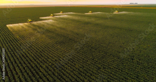 Spraying pesticides and fertilizers on sunset cotton crop