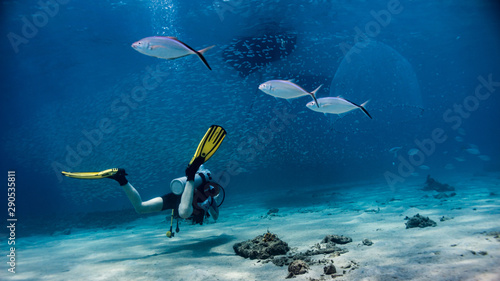 Fischschwarm unter Fischerboot im Flachwasser mit Taucherin