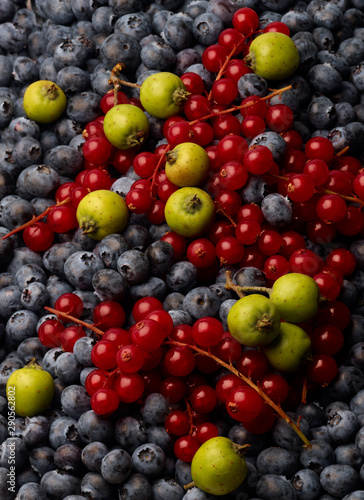 Study of Red Currants, Crab Apples and Blueberries in a pile