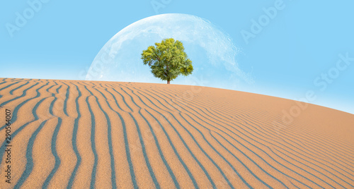 Global warming concept - Lone tree with full moon in desert dunes "Elements of this image furnished by NASA "