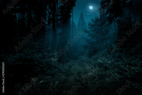 Full moon over the spruce trees of magic mystery night forest. Halloween backdrop.