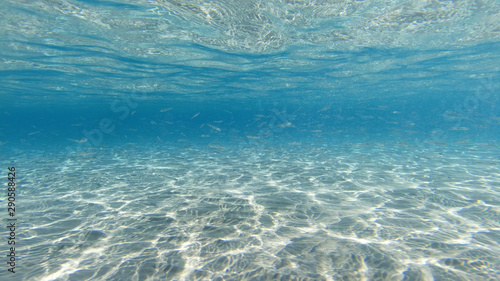 Underwater photo of tropical exotic turquoise sandy beach with crystal clear sea