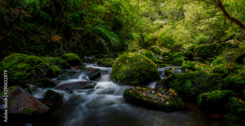 Mossy Rocks in Flowing Stream New Zealand